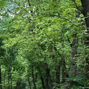 Meet your Posher, Dylan